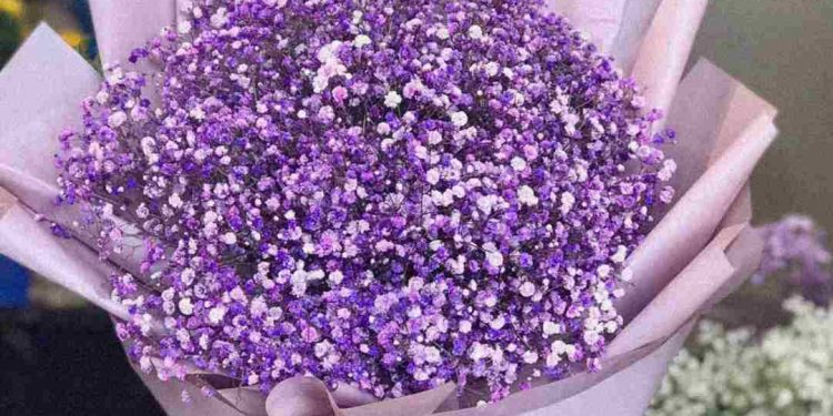 Những bó hoa baby thể hiện sự ngây thơ và trong sáng 