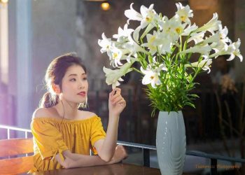 Liệu có nên mua bông Bách Hợp tặng cho bạn gái không? 