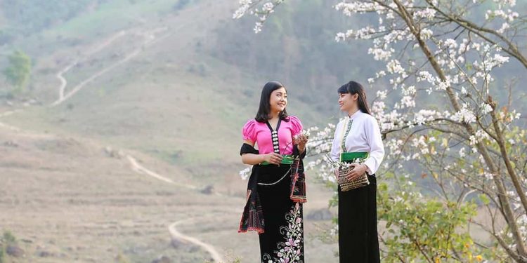 Hoa ban  là loài hoa tượng trưng cho hoa tình yêu của người Tây Bắc