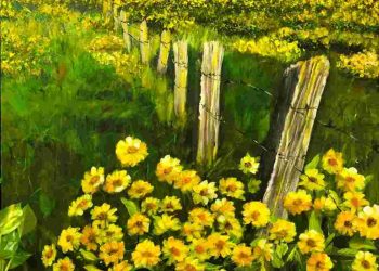 Đặc điểm nổi bật của hoa cúc dại