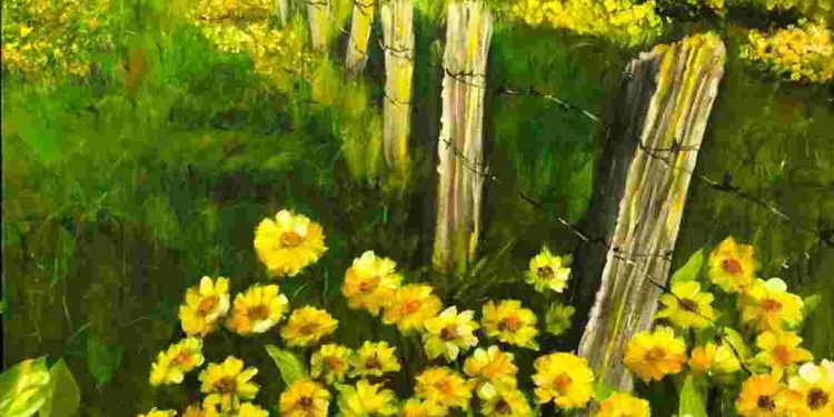 Đặc điểm nổi bật của hoa cúc dại