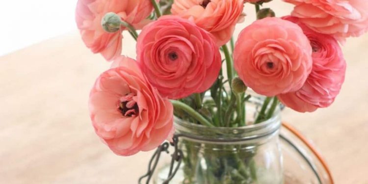 Dùng để trang trí nhà cửa, văn phòng công ty