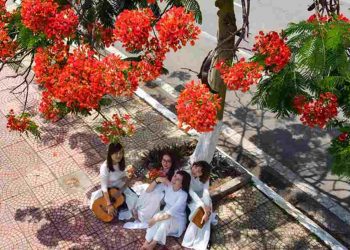 Thời học trò tươi vui dưới tán cây hoa phượng