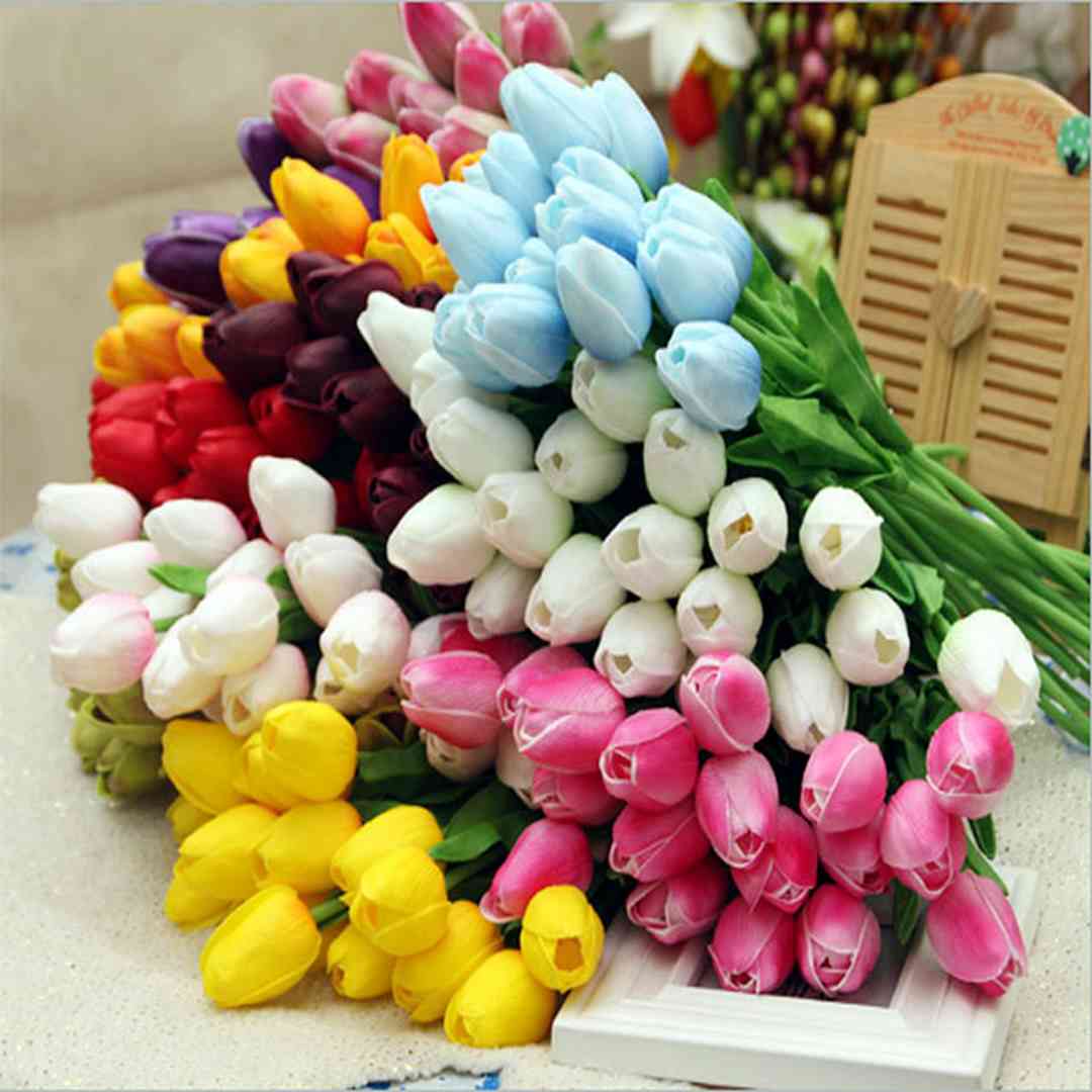 Hoa Tulip mang thông điệp và ý nghĩa qua từng màu sắc