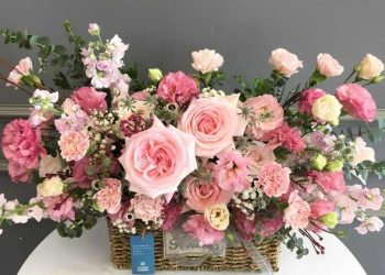 Cách cắm hoa cẩm chướng đơn giản giúp hoa tươi lâu hơn