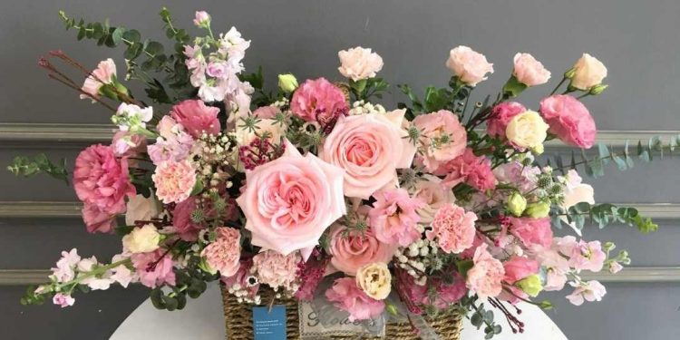 Cách cắm hoa cẩm chướng đơn giản giúp hoa tươi lâu hơn