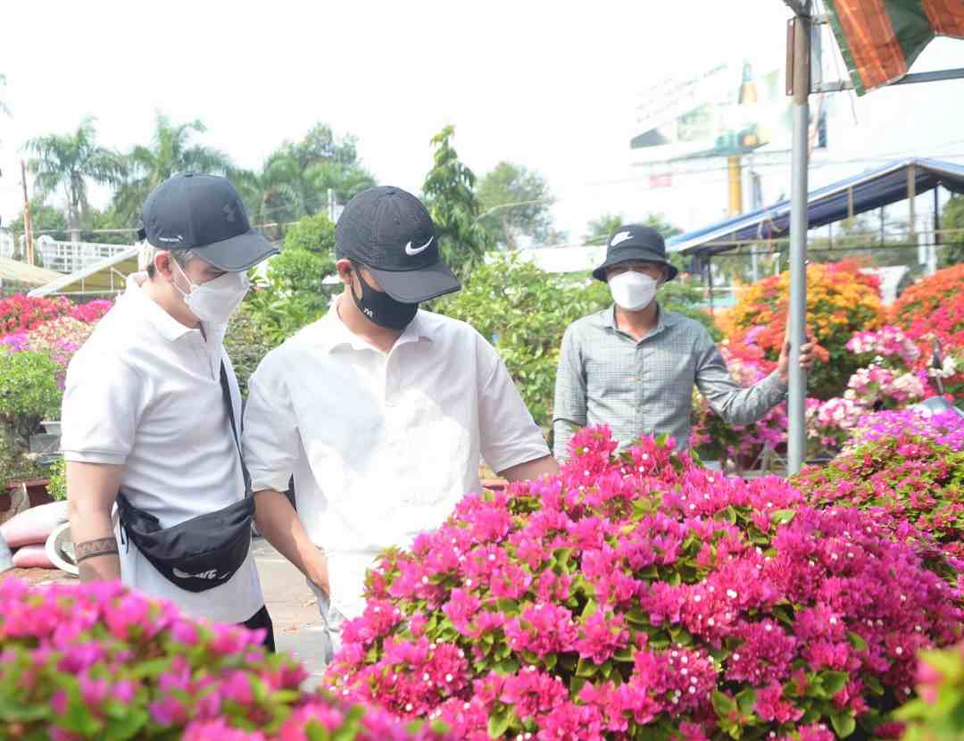 Cách trồng hoa giấy Thái Lan