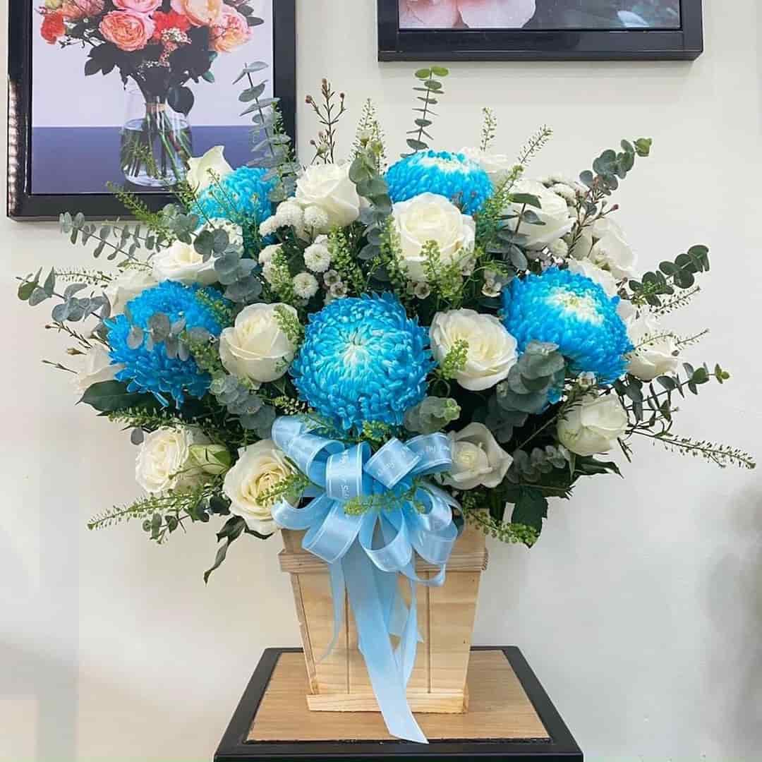 Không nên đặt hoa cúc trong phòng ngủ