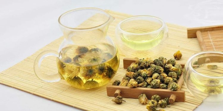 Tìm hiểu chung về hoa cúc