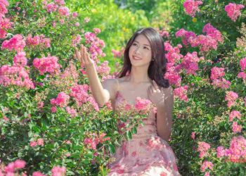 Sự tích hoa tường vi mà có thể bạn chưa từng nghe đến