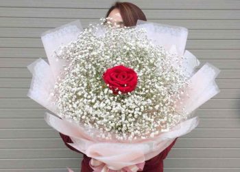 Ý nghĩa hoa baby trong tình yêu và cuộc sống thường ngày