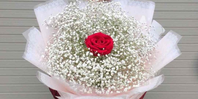 Ý nghĩa hoa baby trong tình yêu và cuộc sống thường ngày