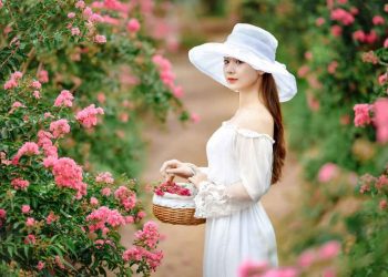 Ý nghĩa hoa tường vi? Có nên trồng cây tường vi trước nhà?