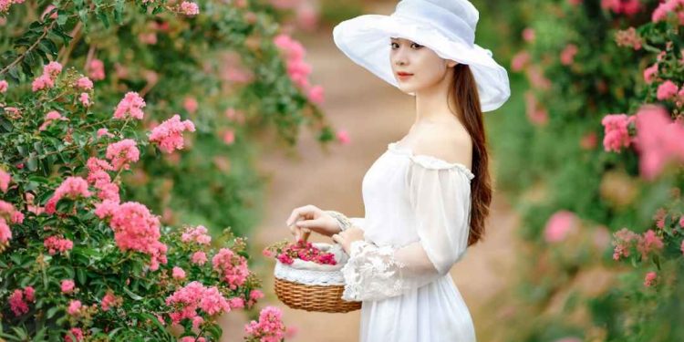 Ý nghĩa hoa tường vi? Có nên trồng cây tường vi trước nhà?