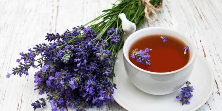 Tận hưởng trà với hương thơm dịu nhẹ