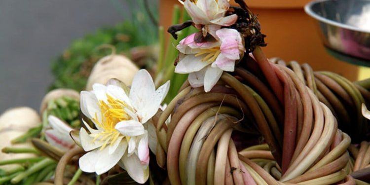 Một số đơn thuốc có sử dụng cây hoa súng