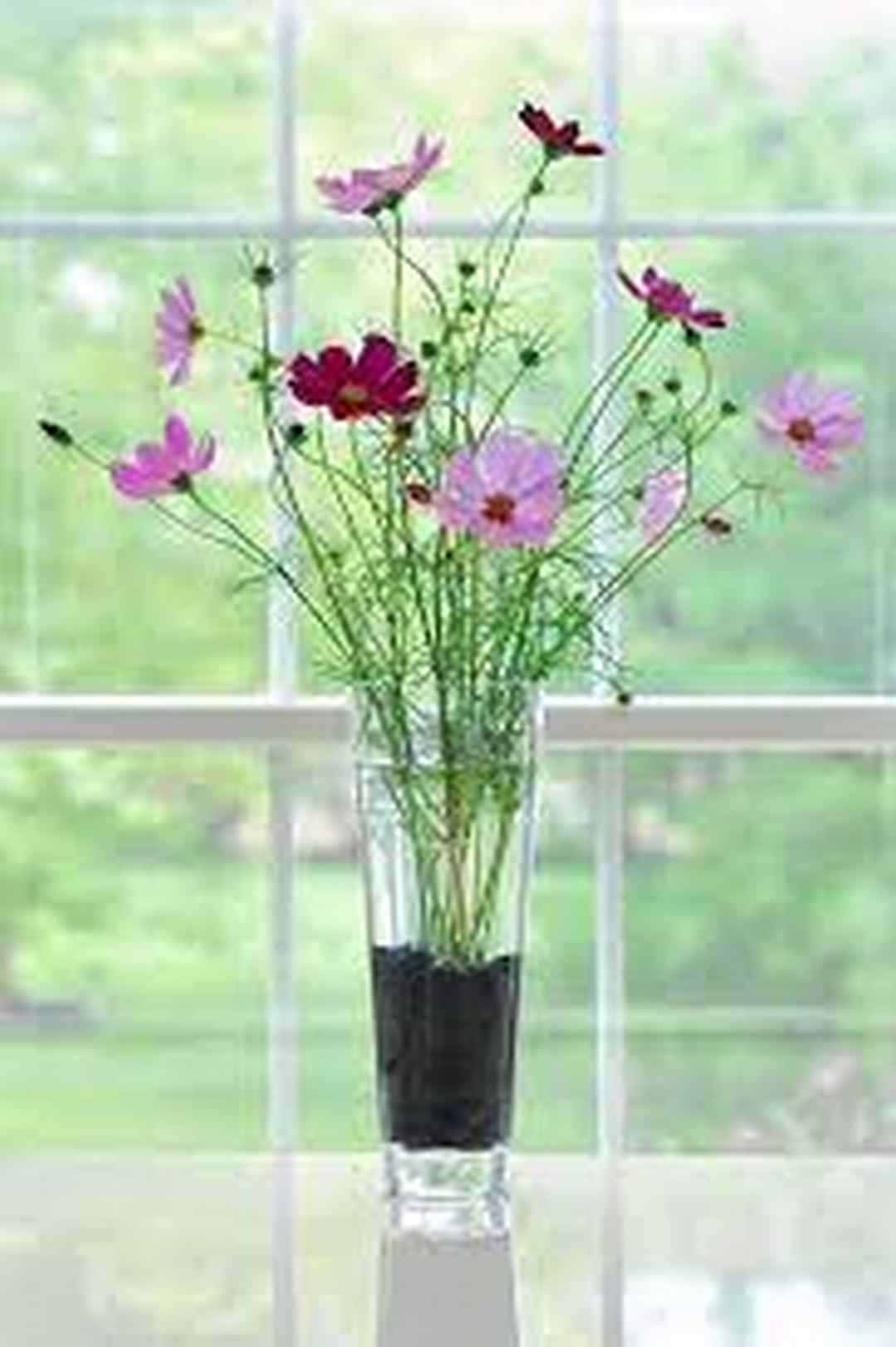 Cách chọn hoa phù hợp