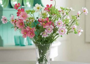 Cách bảo quản hoa cánh bướm sau khi cắm