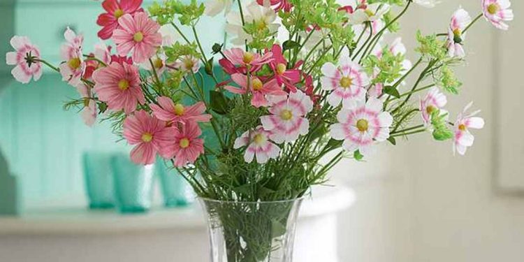 Cách bảo quản hoa cánh bướm sau khi cắm