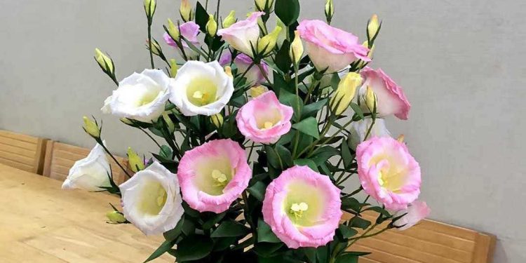 Chọn hoa phù hợp vơi không gian của bạn