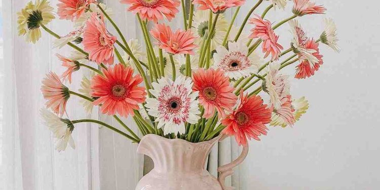 Cách cắm hoa đồng tiền đơn giản ai cũng làm được