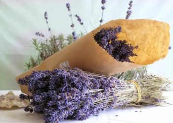 Bó hoa đẹp mắt ấn tượng