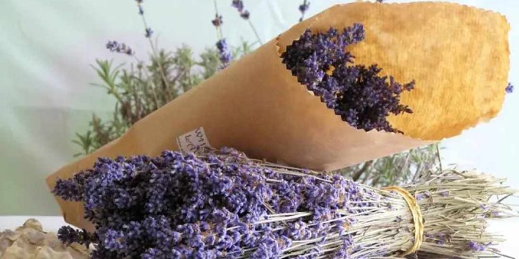 Bó hoa đẹp mắt ấn tượng