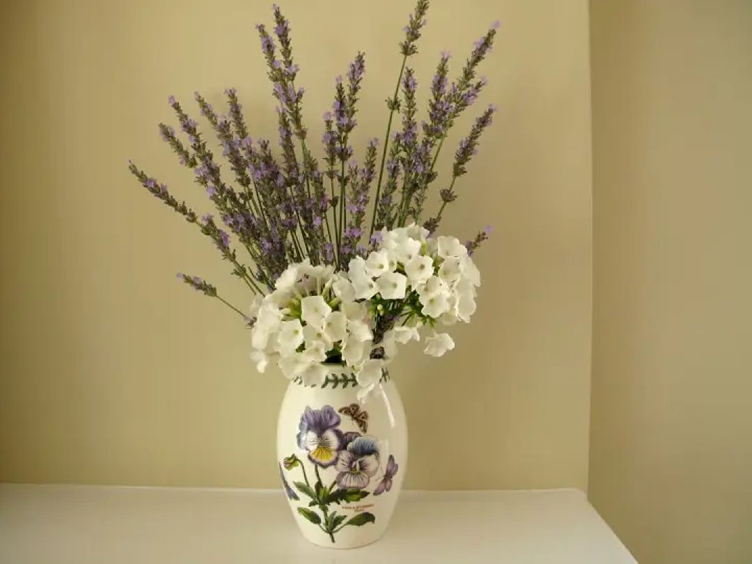 Kết hợp hài hòa giữa hoa oải hương và Phlox trắng