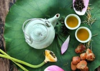 Chọn nguyên liệu tốt nhất để làm trà hoa sen