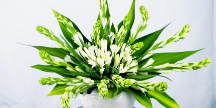 Chọn hoa phù hợp để cắm