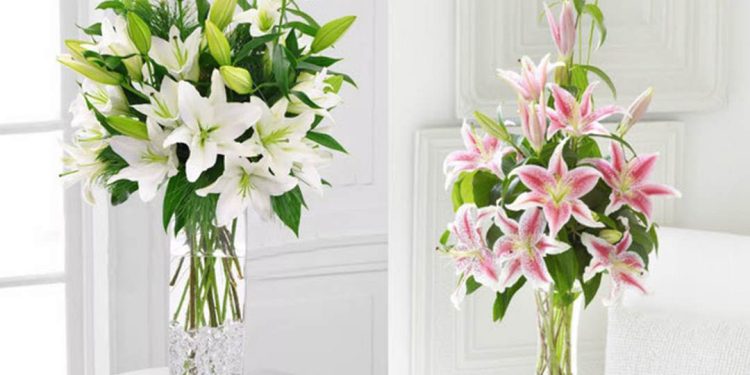 hoa ly còn được sử dụng trong nhiều dịp lễ, sự kiện và đám cưới