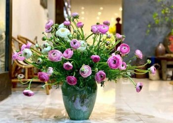 Bí quyết cắm hoa mao lương tươi lâu