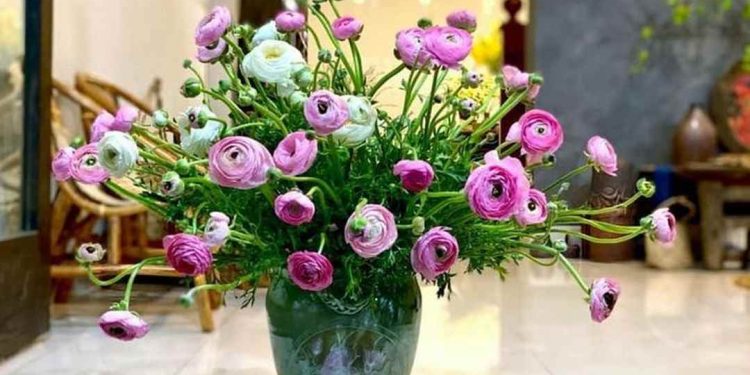 Bí quyết cắm hoa mao lương tươi lâu