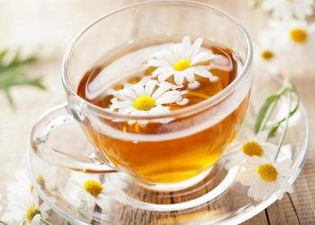 Bạn cũng có thể sử dụng hoa cúc họa mi để làm trà