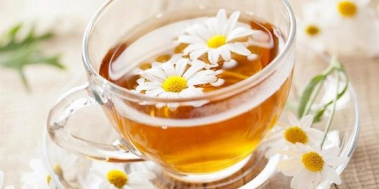 Bạn cũng có thể sử dụng hoa cúc họa mi để làm trà