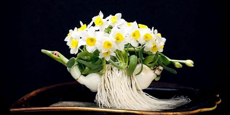 Đặc điểm hoa thủy tiên