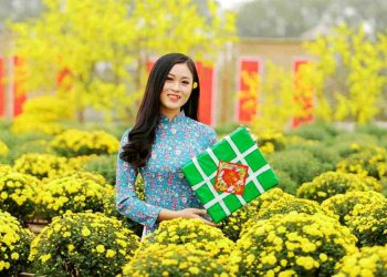 Calimero vàng là một trong những loại hoa cúc rất được ưa chuộng