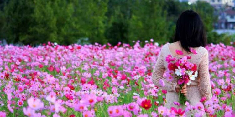 Cách giữ cho cánh hoa khỏe mạnh