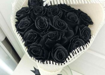 Tặng hoa hồng đen là một biểu tượng của tình yêu và sự quan tâm