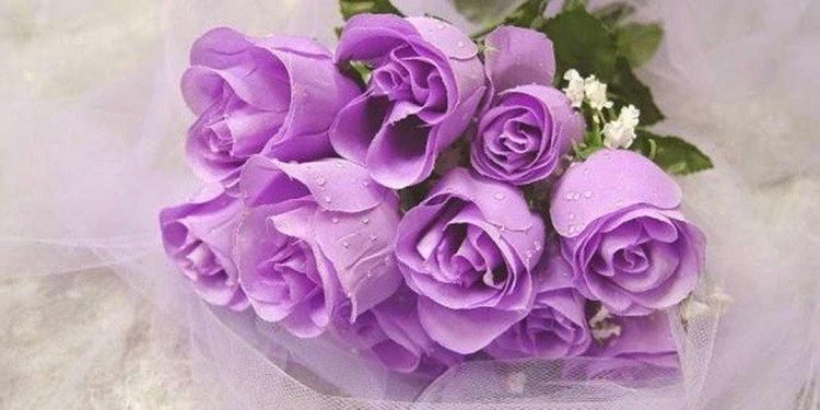 Cách Tặng Hoa Hồng Tím Để Thể Hiện Sự Yêu Thương