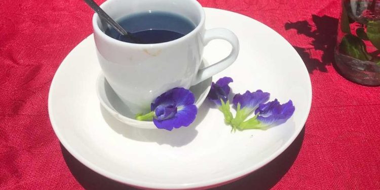 Trà hoa đậu biếc mật ong