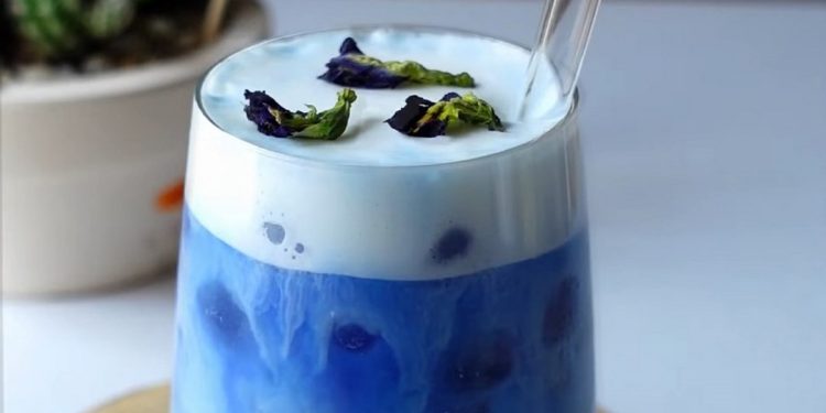 Cách làm trà sữa đậu biếc lạnh