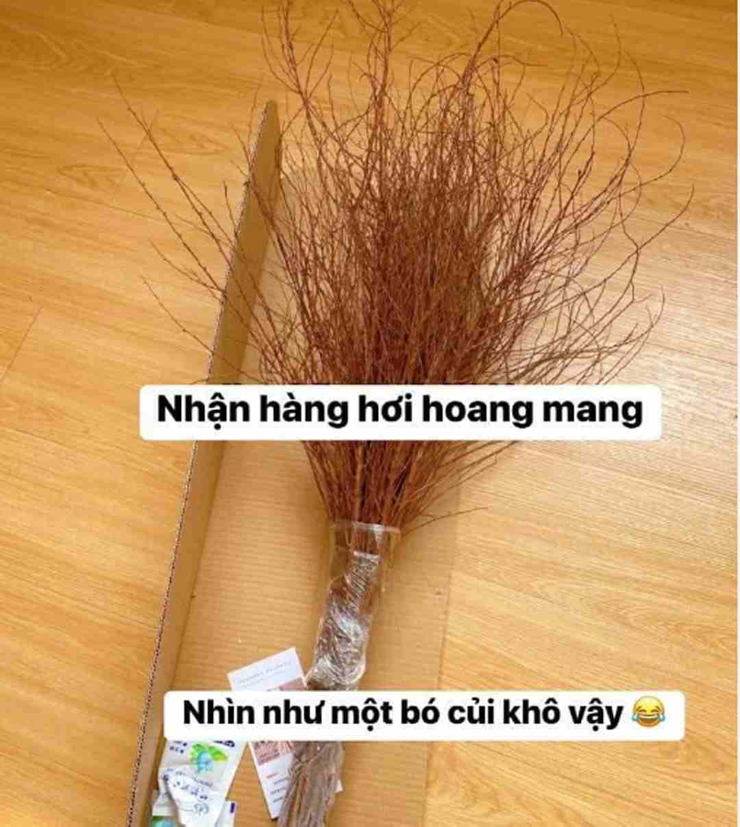 Cách dưỡng hoa tuyết mai