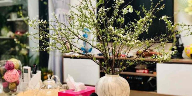 Các lưu ý khi trồng hoa tuyết mai